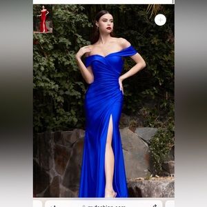 Royal Blue Formal Dress / Ballgown/ Prom Dress